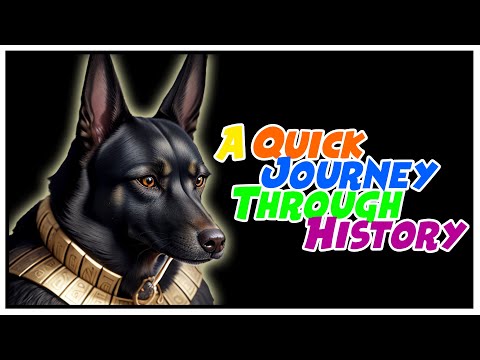 The Dog-Human Connection "From Prehistory to Today in 3 minutes".