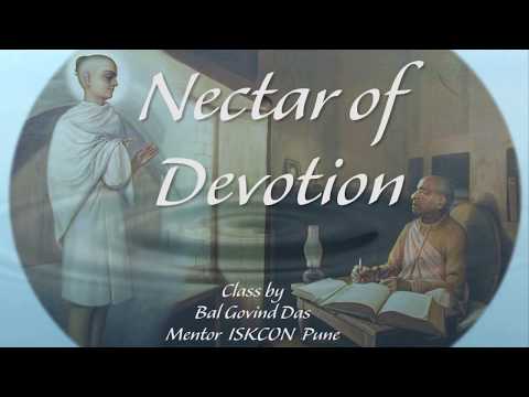 Session 13 Nectar of Devotion