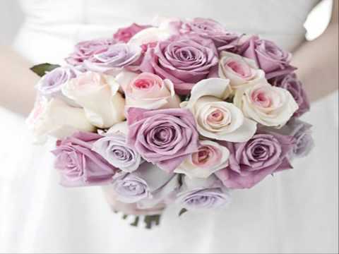 download lagu mp3 mp4 Cheap Wedding Flowers Atlanta, download lagu Cheap Wedding Flowers Atlanta gratis, unduh video klip Cheap Wedding Flowers Atlanta