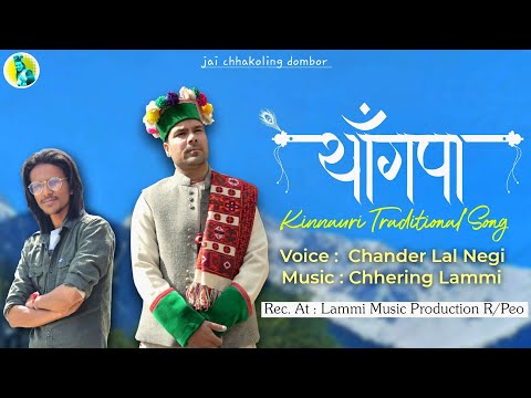 YANGPA // Kinnauri Traditional Song 2024 // Chander Lal Negi // Chhering Lammi #newkinnaurisong