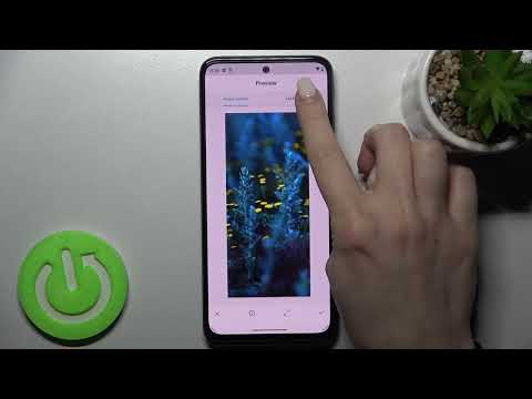 How to Change Lock Screen Wallpaper in Motorola Moto G41 - Manage Wallpaper Settings