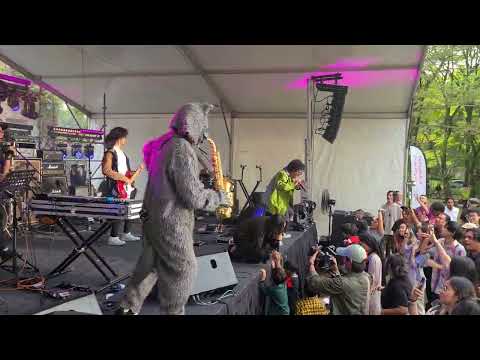 LATE NIGHT FREQUENCY - LIVE YSDAF23