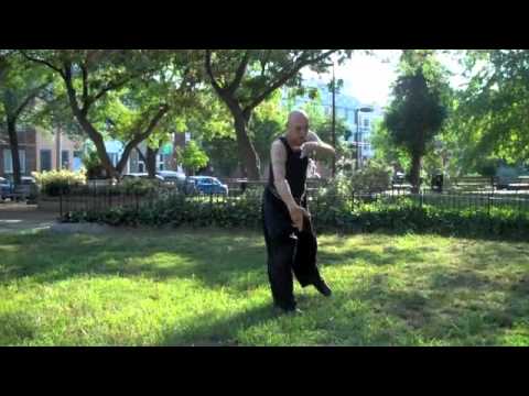 Kung Fu Fundamentals – Thunderpunch & Heart-Stopping Palm