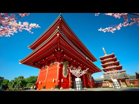 Pan Flute Tibetan Meditation Music, Relaxing Music, Background Flute Music, Yoga Music, Zen, ♫80