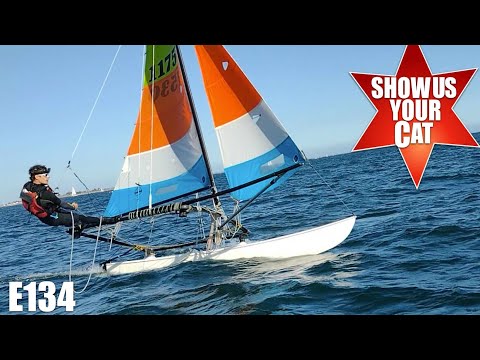 Show us your Cat! Episode 134 Australia, France and USA