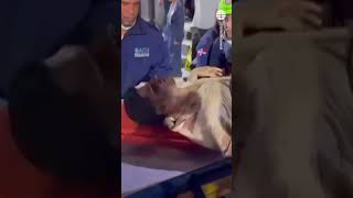 Varios muertos y cientos de heridos tras hundirse el techo de una discoteca en República Dominicana