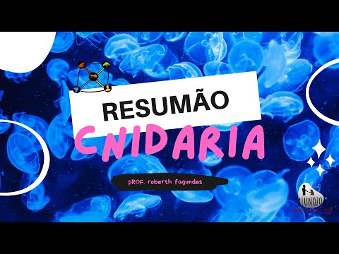 RESUMÃO DE CNIDARIOS, FILO CNIDARIA (AGUAS VIVAS, CORAIS, ANEMONAS E HIDRAS)