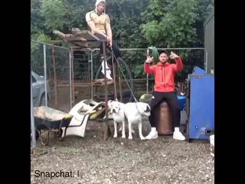 MC Dacent - In Ireland you're getting abuse. Cover of Stormzy - Big For your boots