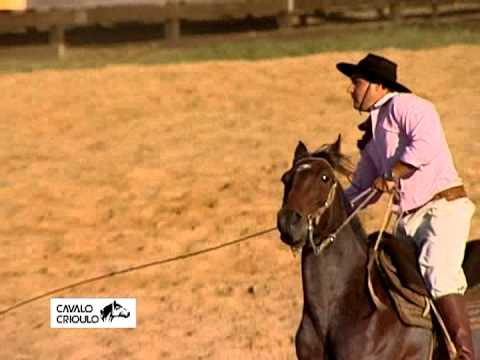 Recorde de armadas na Final Nacional do Crioulaço 2015!