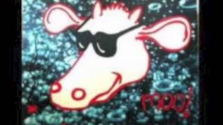 Inspiral Carpets - Plane Crash