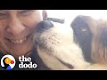 Will She Foster Fail With A Saint Bernard Puppy? | The Dodo