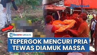 Detik-detik Pria di OKU Selatan Tewas Diamuk Massa seusai Tepergok Petik Kopi di Kebun Warga