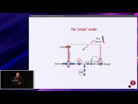 Mechanisms in glycogen re-synthesis after exercise, Jorgen Wojtaszewski
