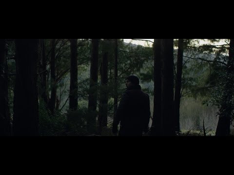 The Nation Blue - Wild (official music video)