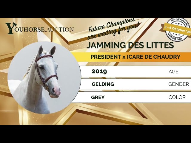Jamming des Littes showvideo