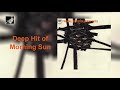 Deep Hit of Morning Sun by Primal Scream