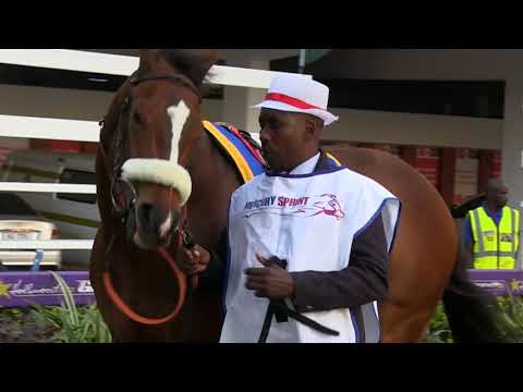 KASIMIR  CHAMPION SPRINTER