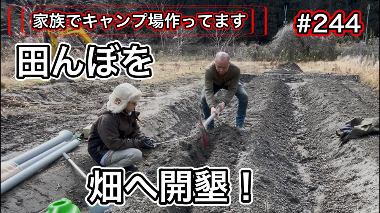 【家族でキャンプ場作ってます】 # 244 不耕作地の田んぼを開墾！自然薯畑へ