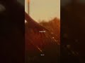 Dandelions Ruth B Lyrics Aesthetic English Songs Slowed Whatsapp Status Speed Up