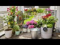 Saulės energija palaikomas rinkinys laistymui Gardena „AquaBloom“ 13300-20, 967999001