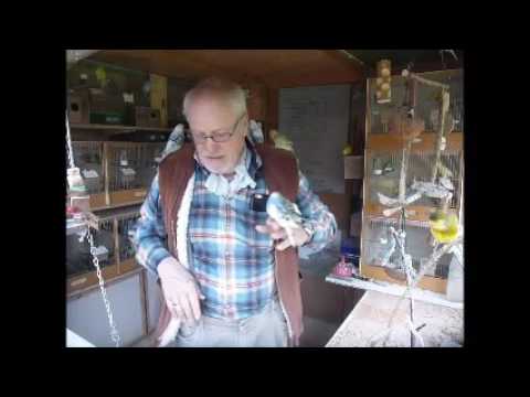 2017 03 05 Der Wellifluestererfilm des Tages