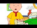 Caillou And The Emergency Caillou Cartoon