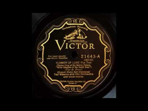 Flower Of Love by Ted Weems and His Orchestra, 1928