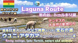 Laguna Route 岩の谷、トゥルキリ湖、アンデスの大自然と動物たち[現地日本人ガイドマック岡野さんと行く宝石の道ウユニ発アタカマ行ツアー EP4]リアル地球みっけ旅52 南米の行き方ボリビア編
