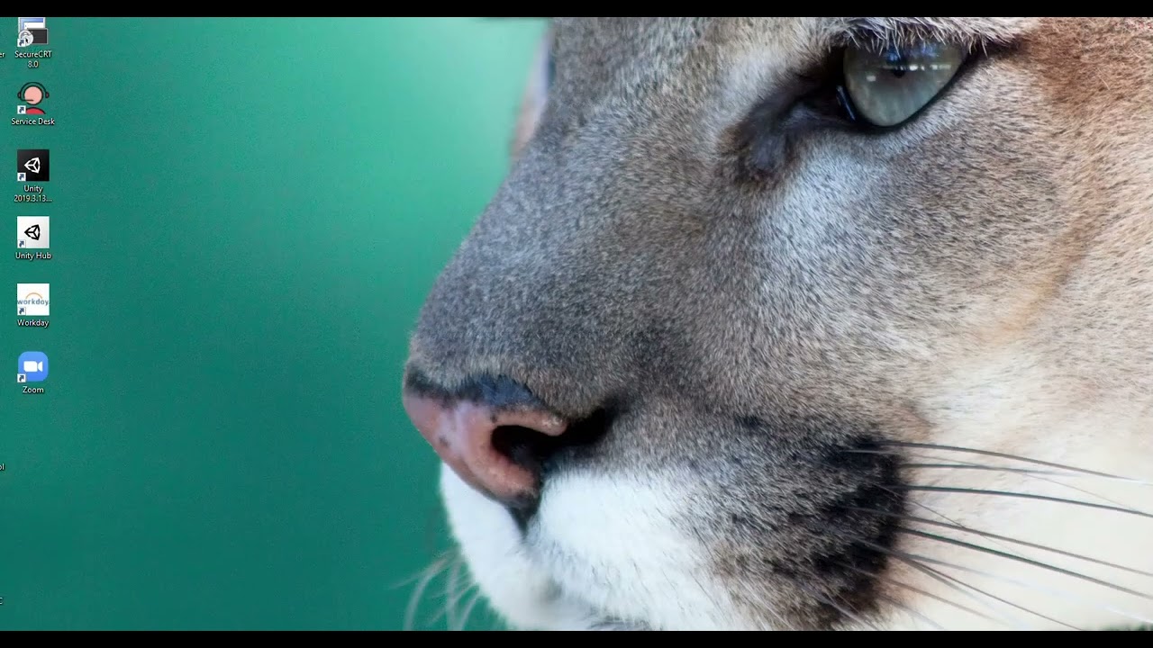 COP1000 4-1 Code Formatting Standards