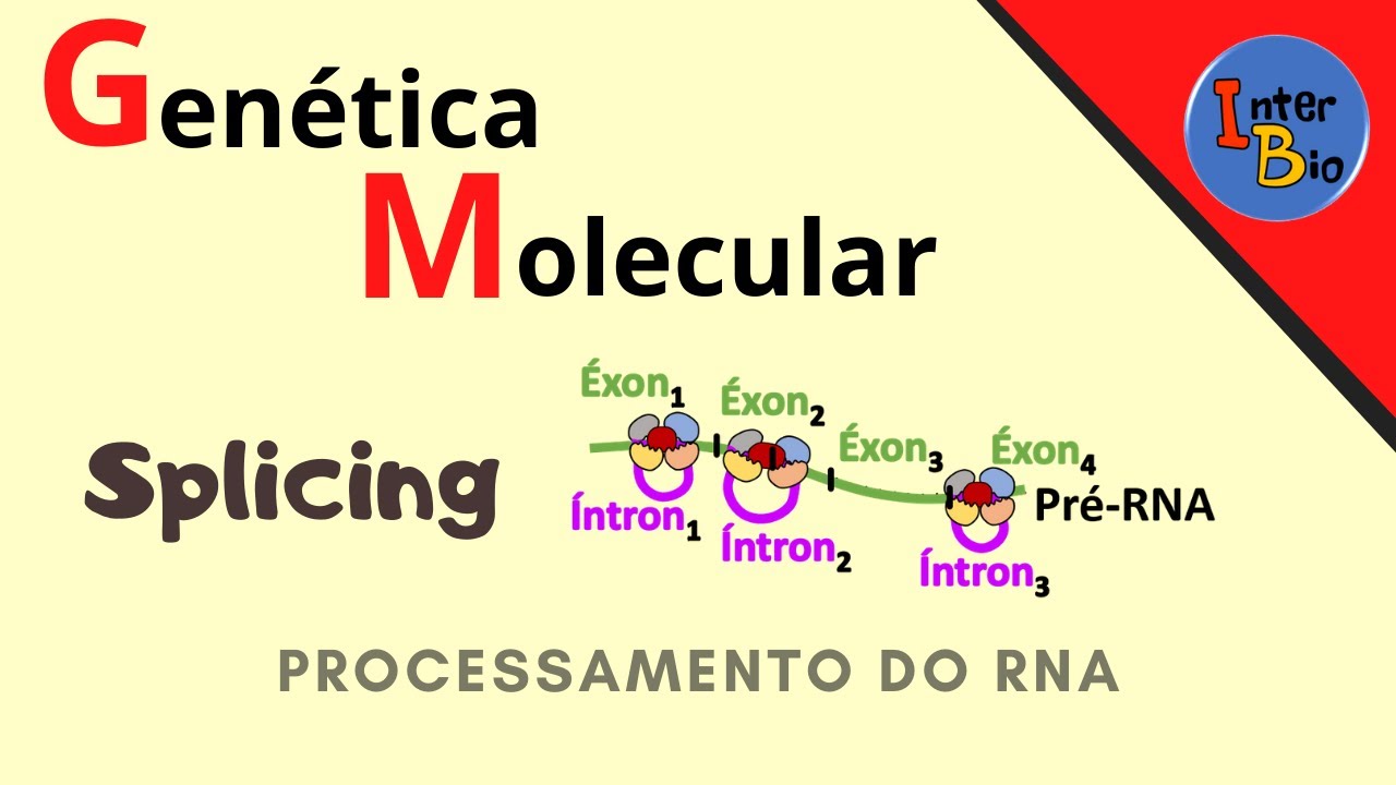 Splicing ou Processamento do RNA