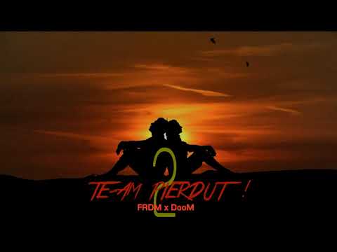FRDM x       - Te-am pierdut (Audio Official 2)