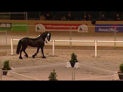 Tweede Bezichtiging 2017 – Groep 05