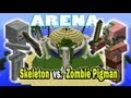 Minecraft Arena Battle Skeleton vs Zombie Pigman ...