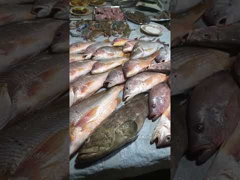 Big Fish #fish #bigfishcutting #reptile