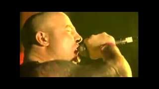 Crashed Out The Jarrow Song@speed freaks