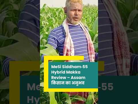 Julhash Ali - Hybrid Siddham-55