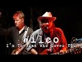 Wilco: I'm The Man Who Loves You [4K] 2015-08-01 - Gathering of the Vibes