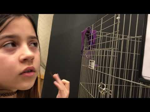 Pink Toenails | 12.28.2018