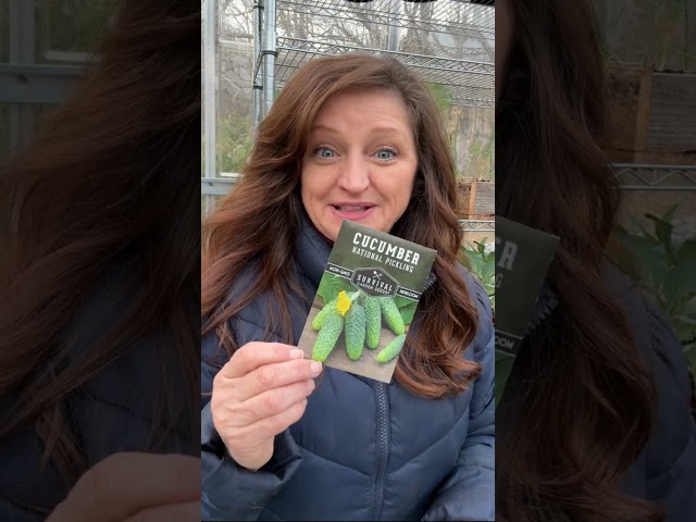 Judge.me YouTube video placeholder