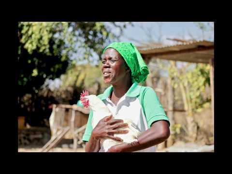 Restore 600 rural women's livelihoods in Zimbabwe