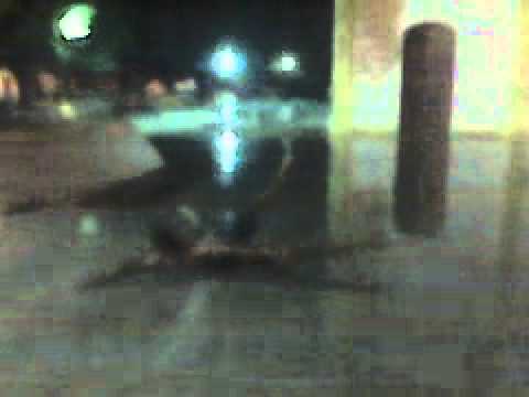 DOMINIQUE MARCANO - Limpiando la Plaza