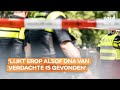 'Lijkt erop alsof dna verdachte is gevonden op spullen van Gino'