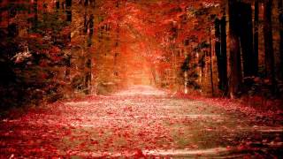 Kevin Braheny - The Way Home [1984]