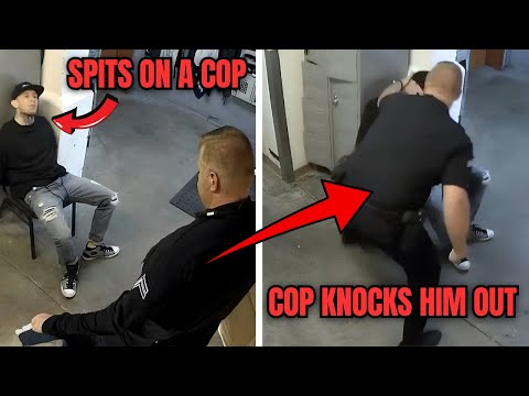 Officer Snaps After Suspect Spits in His Face