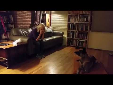 Saju brings a kleenex when I sneeze!