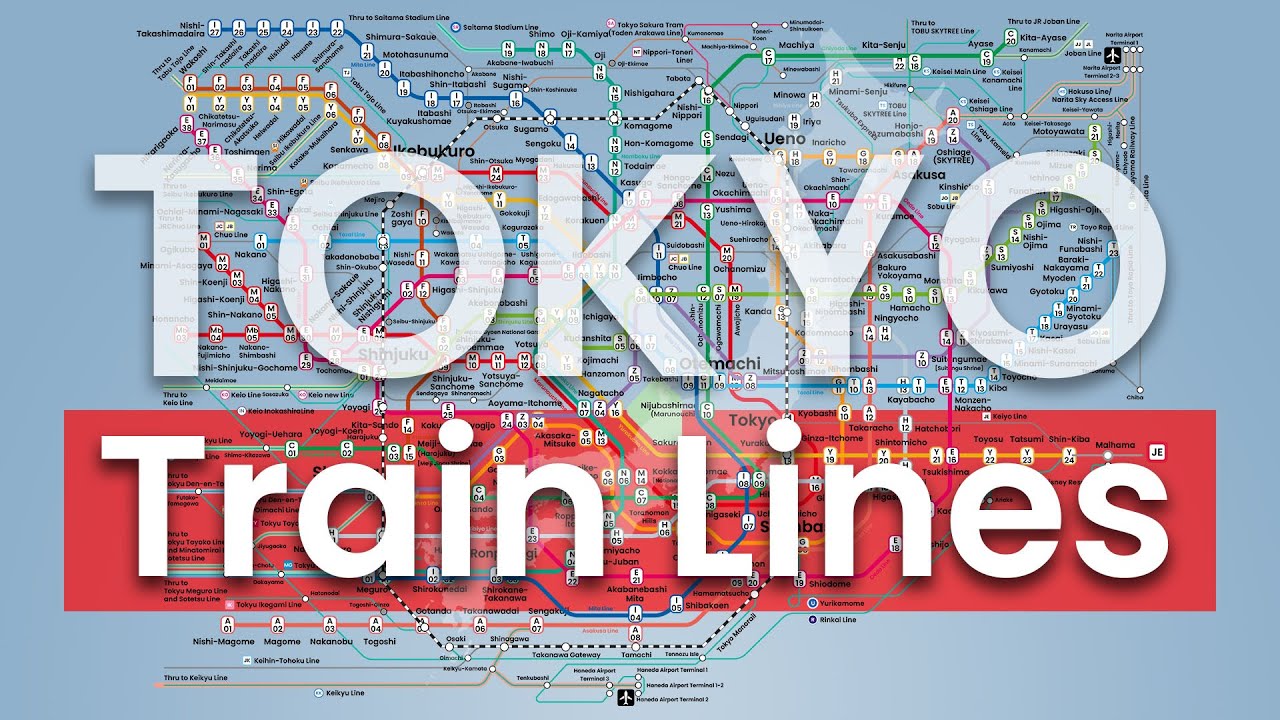 Lost in Tokyo’s Train Map? Not Anymore! A Simple Guide for Tourists