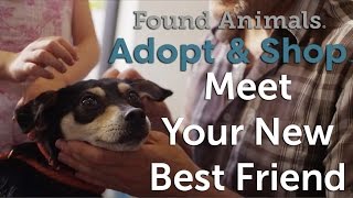 preview picture of video 'Adopt & Shop Culver City: Meet Your New Best Friend'