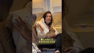女が隠しているものの正体