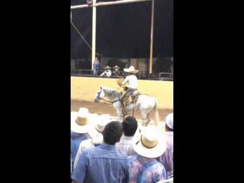 Pialadero  de  estrellas  torneo  millonario  2015