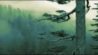Agalloch - You Were But a Ghost in My Arms